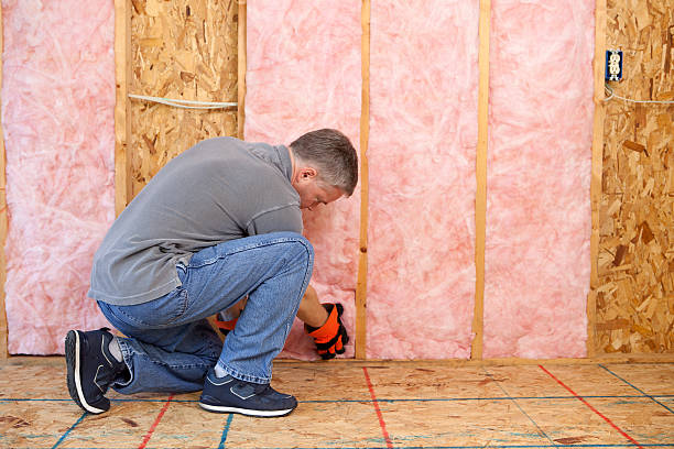 Best Insulation Maintenance and Repair in Amherst, OH